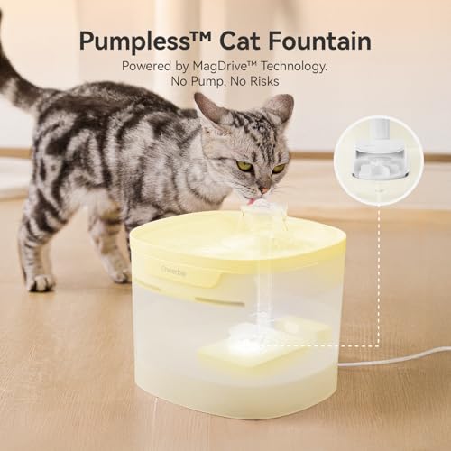 Pumpless Cat Water Fountain