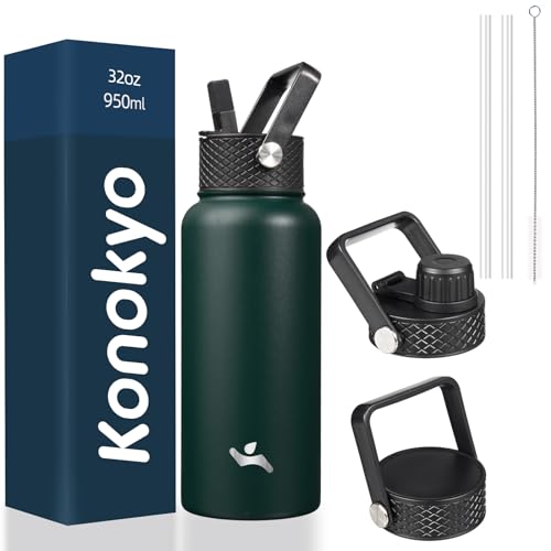 32 oz Insulated Stainless Steel Water Bottle with Straw Lid