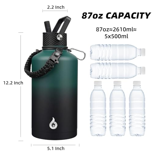 87oz Insulated Water Bottle with Straw Lid Stainless Steel Water Jug
