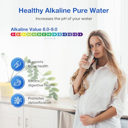 2.25G Gravity Water Filter System with Water Level Window (4 Count)