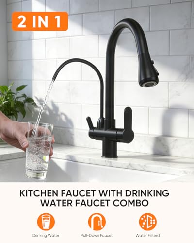 Kitchen Faucet with Water Filter Spout