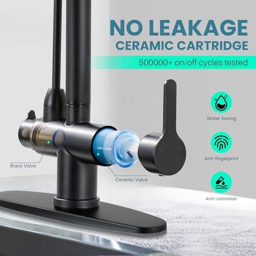 Kitchen Faucet with Water Filter Faucet