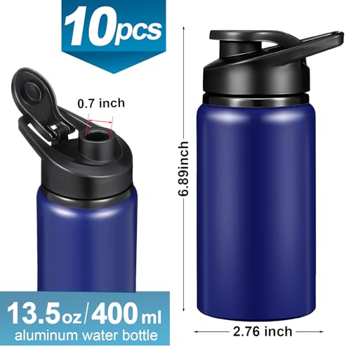 10 Pcs 13.5oz Aluminum Water Bottles Bulk