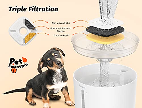 Cat Water Fountain