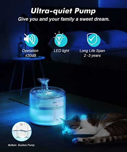 WF100 Cat Foutain
