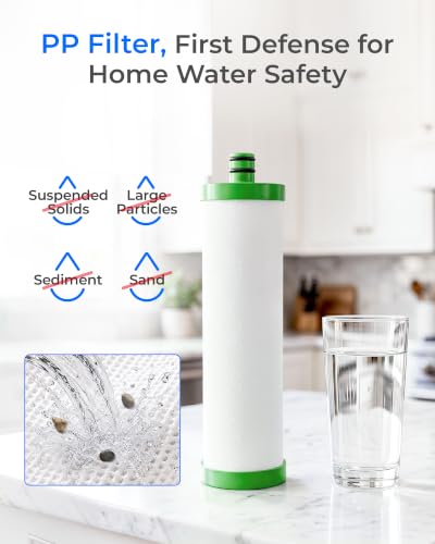 P1 Replacement Water Filter for Waterdrop TST
