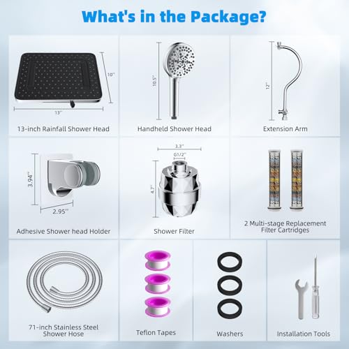13'' Filtered Shower Head with 10