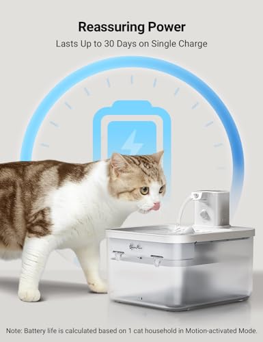 Cat Water Fountain Cordless