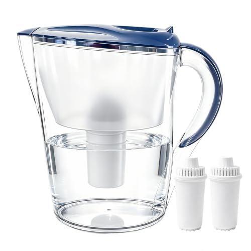 Water Filter Pitcher with 2 Replacement Filters