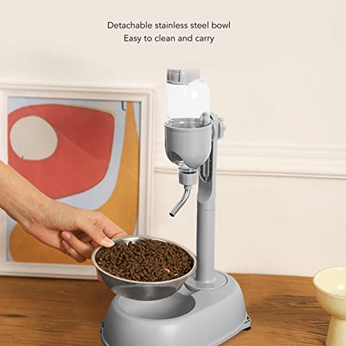 2 in 1 Pet Standing Water Dispenser