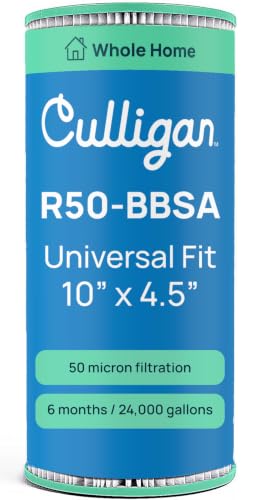 R50 BBSA Whole House Water Filter Replacememt