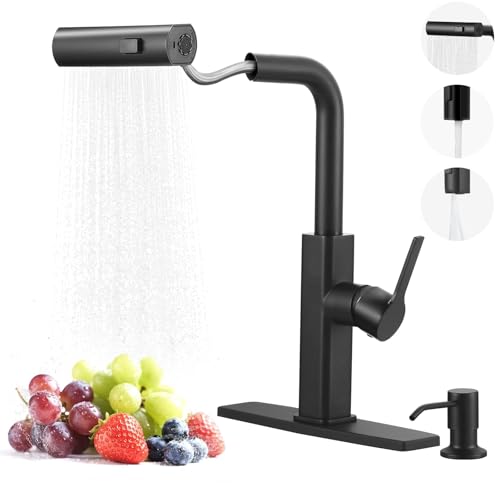 Kitchen Faucet with Pull Down Sprayer