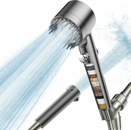 Filtered Shower Head with Handheld
