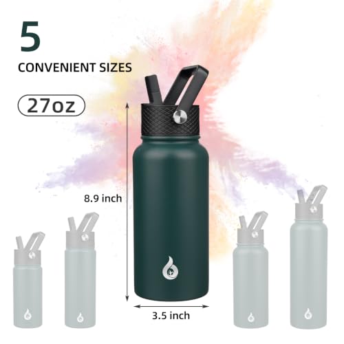 27oz Insulated Water Bottle with Straw Lid