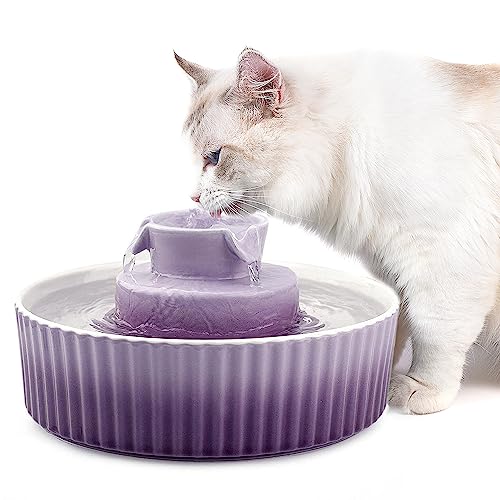 Ceramic Cat Water Fountain