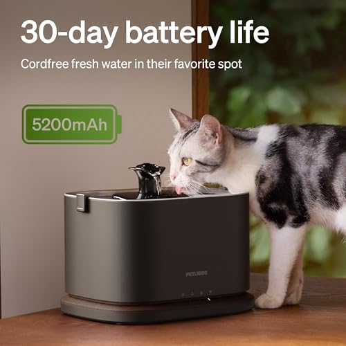 Upgrade Cat Water Fountain