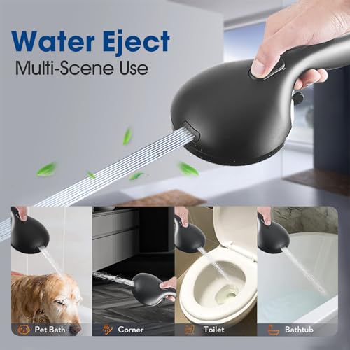 High Pressure Shower Head with Handheld Shower