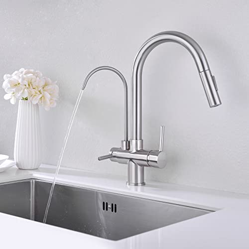 Kitchen Faucet with Pull Down Sprayer