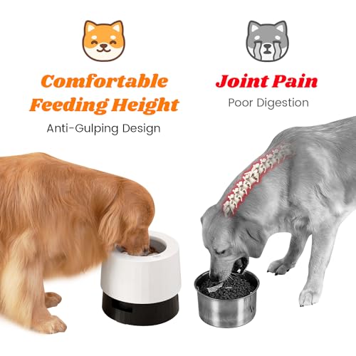Elevated 60oz Slow Feeder Dog Bowls Large Breed Raised Food Bowl