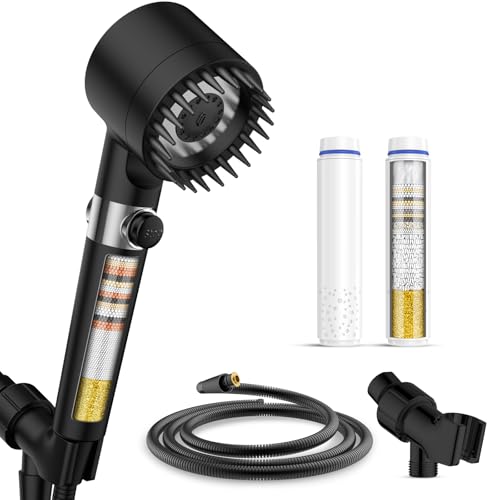 Filtered Shower Head with Handheld