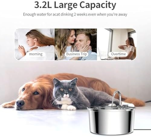 Dog Water Fountain