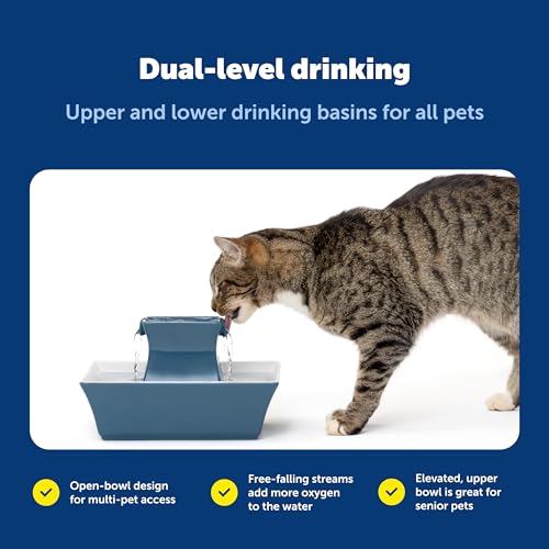 Cat and Dog Water Fountain