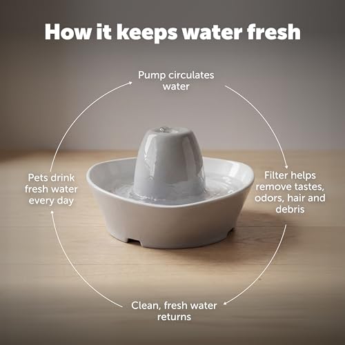 Creekside Ceramic Pet Fountain