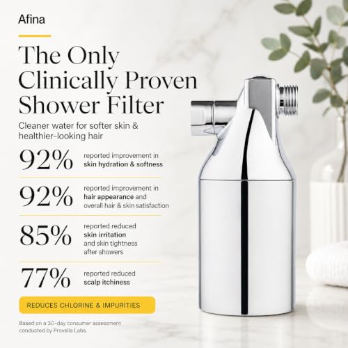 Chrome High Pressure Revitalizing Shower Filter