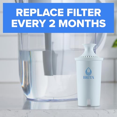 Plus Replacement Water Filter (2 Count)