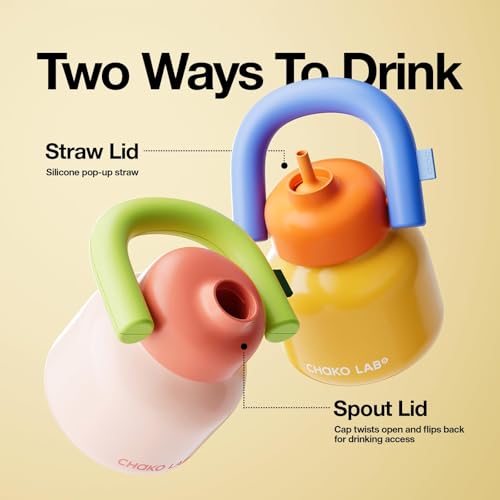 Water Bottle with Straw and Carry Handle 33oz