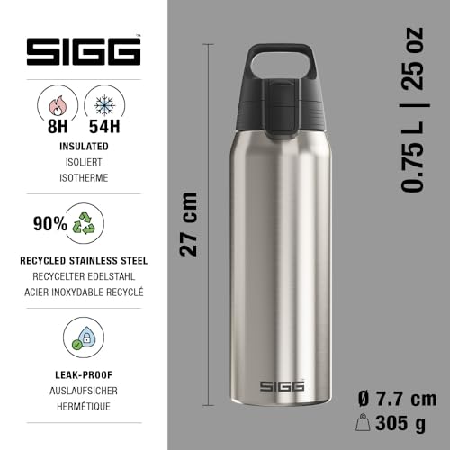 Stainless Steel Insulated Water Bottle
