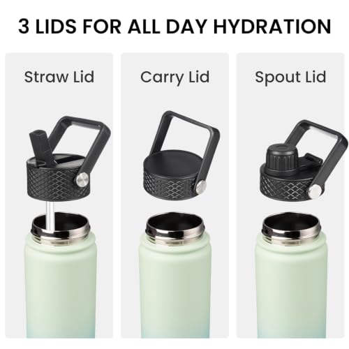 18 oz Insulated Stainless Steel Water Bottle with Straw Lid