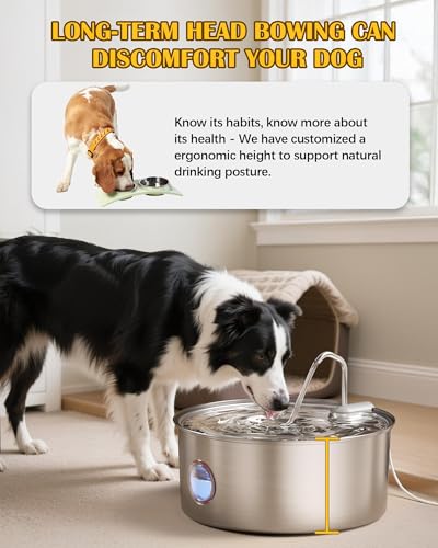 Dog Water Fountain for Large Dogs