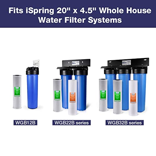 FC25B 20" x 4.5" Whole House Water Filter