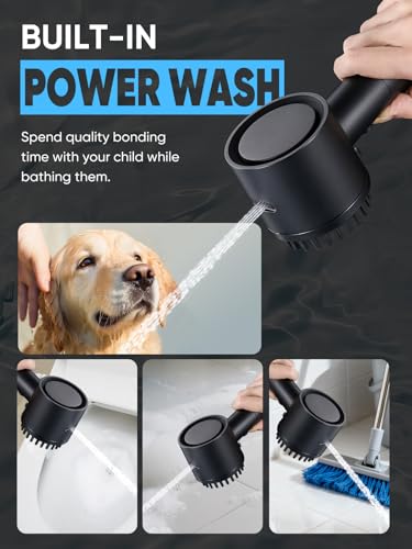 Filtered Shower Head with Handheld