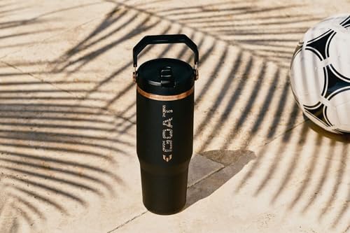x IceFlow 2.0 Flip Straw Tumbler with Handle