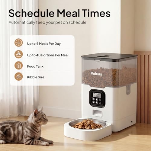 Automatic Cat Feeder