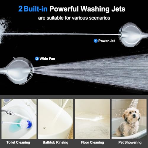 Filtered Shower Head with Handheld