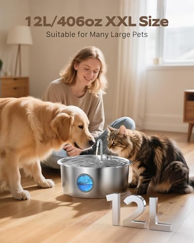 Dog Water Fountain for Large Dogs