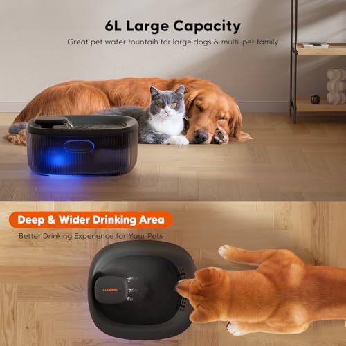 Dog Water Fountain for Large Dogs