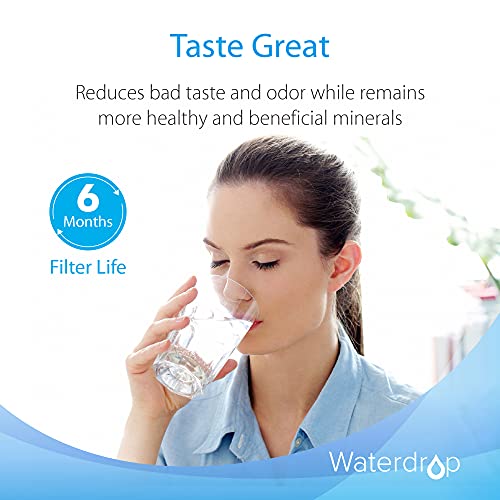 AP117 Water Filter for 3M® Aqua (2 Count)