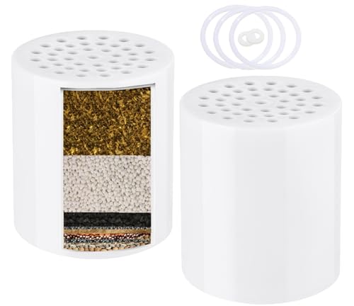 Heavy Duty Shower Filter Replacement Cartridge 2 Pcs (2 Count)