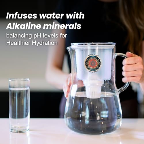 Borosilicate Glass PITCHER OF LIFE with Stainless Steel Infuser Alkaline Water Replacement Filter Pack of 3 (3 Count)