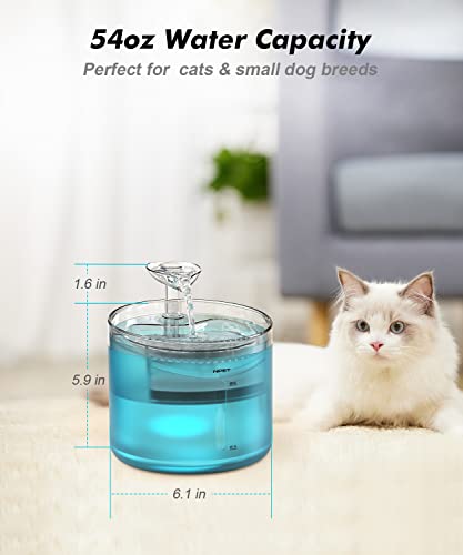 WF100 Cat Foutain (54 Fl Oz)