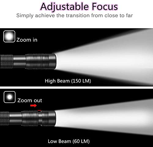 UV Flashlight 395nm Zoomable Black Light (2 Count)
