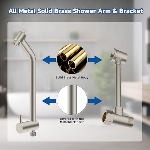 Metal Dual Rain Shower Head Easy Reach