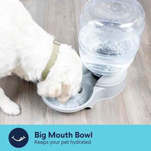 Aspen Pet Lebistro Cat and Dog Water Dispenser