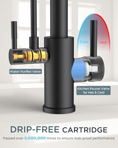 Kitchen Faucets with Purified Water