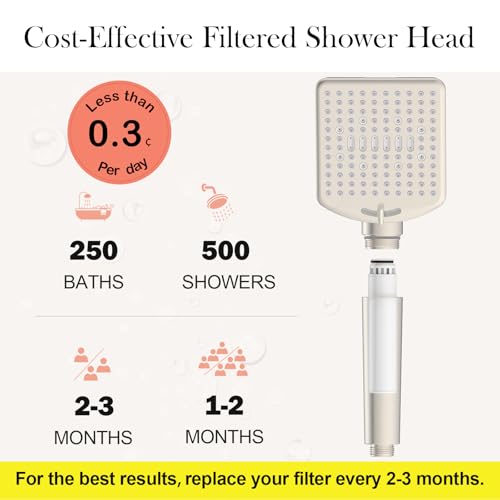 Filtered Shower Head with Handheld