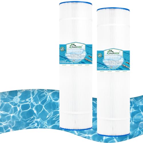 Swimming Pool Filter Replaces for C